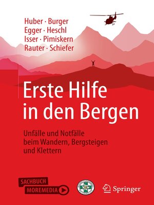 cover image of Erste Hilfe in den Bergen